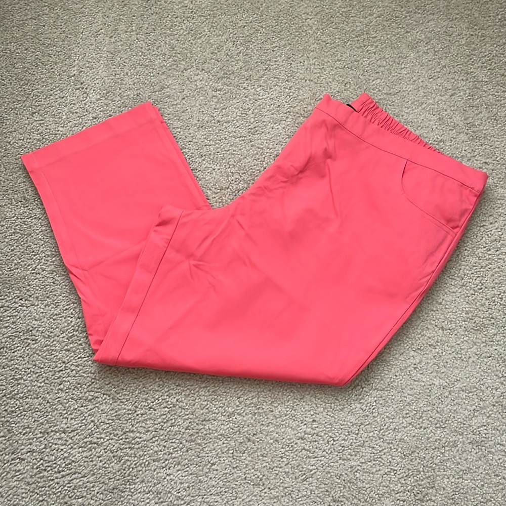 Isaac Mizrahi Coral Pants - 22W